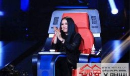 最新爆料那英过往视频,揭秘歌手背后的故事与争议